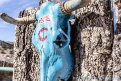 Blue Deer Skull