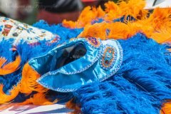 Mardis Gras Indian Costume