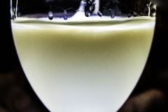 The Green Fairy