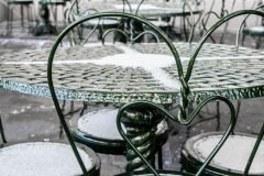 Sneaux Day