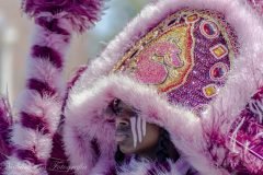 Mardis Gras Indian (Prestige)