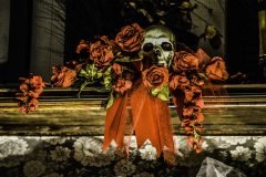 Skull & Roses