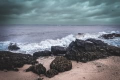 Late August Storm