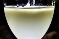 The Green Fairy
