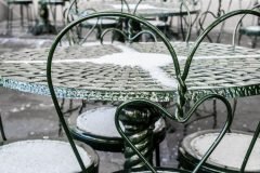Sneaux Day