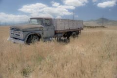 Truck in Wheat Field