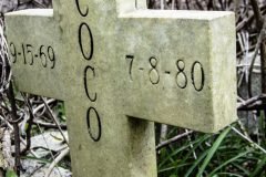 Coco