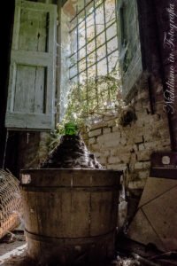 in vino veritas, wine jug in abandoned villa, Emilia-Romagna italy