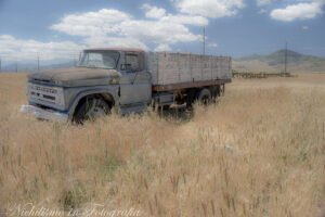 Abandoned farm truck in field